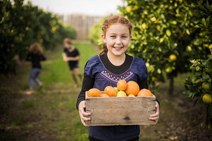 Why Does Gisborne Grow Great Fruit?